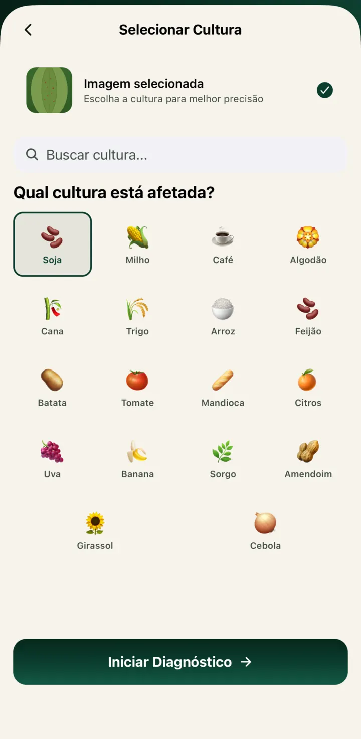Tela do Rumo Pragas: escolha da cultura afetada antes de enviar a imagem para análise